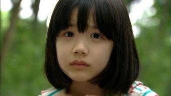 台湾双胞胎明星,孪生魅力闪耀娱乐圈