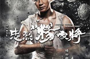 忠烈杨家将幕后花絮,揭秘忠烈杨家将拍摄背后的感人瞬间