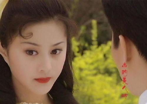 纯肉明星文,纯肉明星的璀璨人生