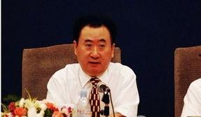 没有政治背景的富豪,无政治背景富豪的财富传奇