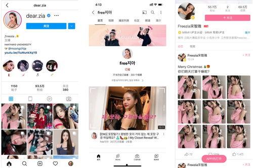 韩国网红网站,潮流风向标与热门话题一览