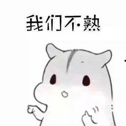 表情包撩对象亲,甜蜜撩汉攻略大公开