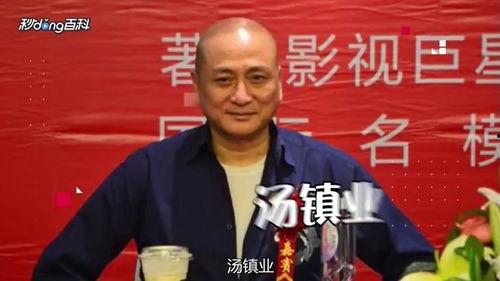 汤镇业 个人资料,影视巨星的多面人生与辉煌成就