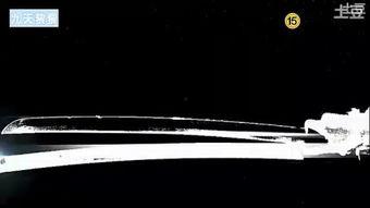 武士白东秀背景故事,从武士到传奇，一段跨越时代的传奇人生